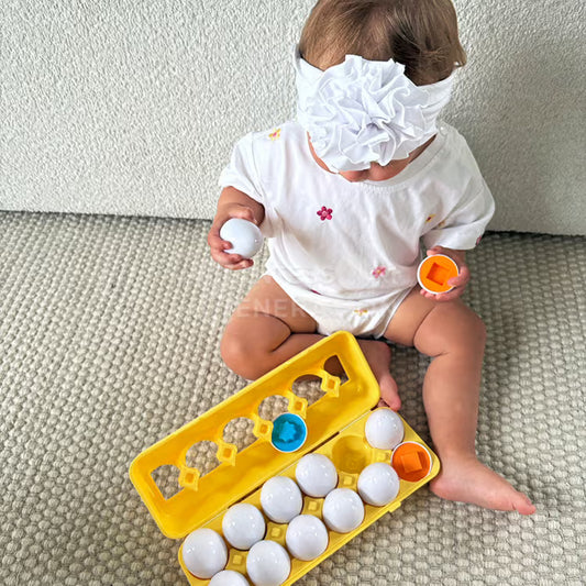 Montessori Geometric Eggs ™DinoToys